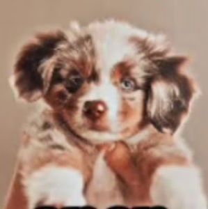 Meet your Posher, Mallory